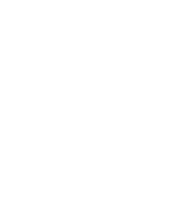 Havu logo - Myy CS2 Skinit nopeasti - CSKeisari