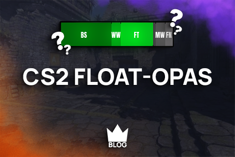 CS2 Float-opas thumbnail - CSKeisari.fi
